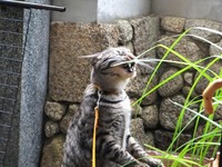2012_06194月ホームページ画像0019