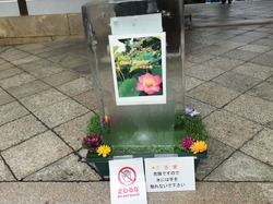F2D53990-70DD-44C4-944B-73FA77B01034