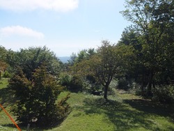 DSCF4147