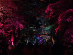 DSCF4016
