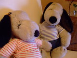 2008_06170009