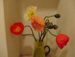 2009_04020021