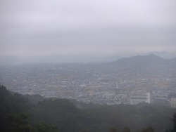 DSCF3081
