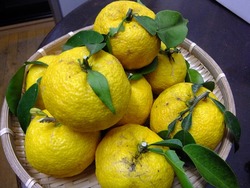 DSCF3124