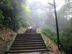 DSCF3083
