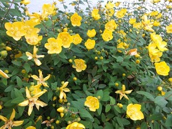 DSCF2580