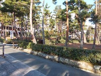 2012_0227¥Û¡¼¥à¥Ú¡¼¥¸¼Ì¿¿£²£°£±£²¡¦£±0002