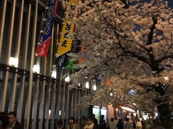IMG_0508
