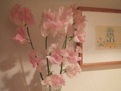 DSCF4484
