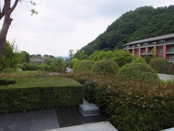 DSCF2635