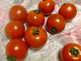 2008_06300032