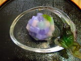 2008_06300030