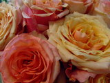 2008_05230211