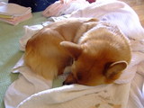 2008_06010008