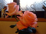 8835a144.jpg