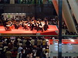 2008_05050177