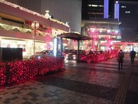 2012_0103写真0003