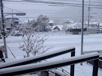ホームページ画像 436