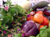 2008_07270079