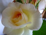 2008_05230201