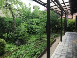 IMG_0797
