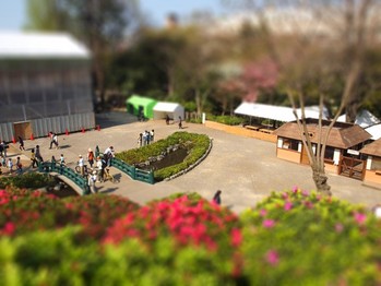 P4110318-tiltshift