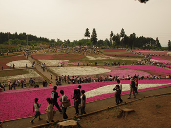 P5030462