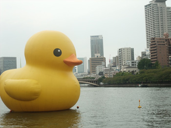 4326