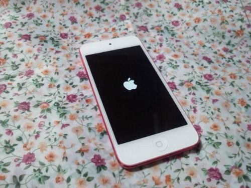 iPodtoutch2