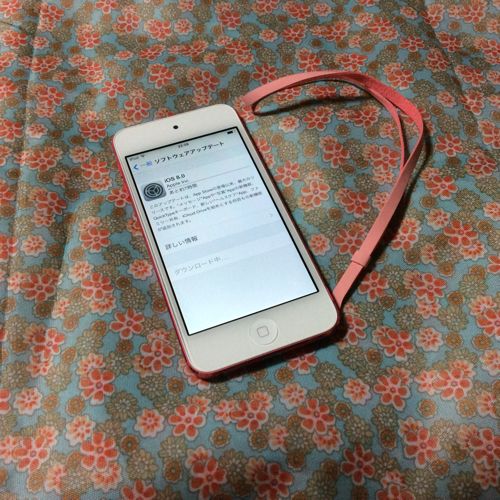 iPodtouch5画像