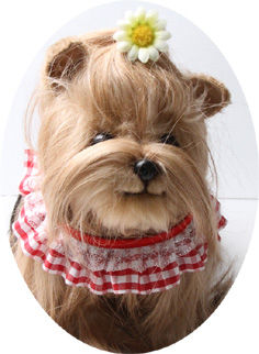 dog-2