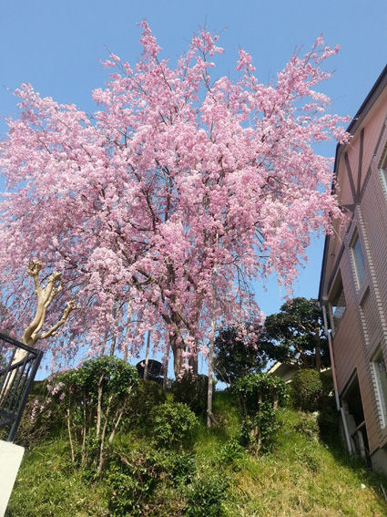 20130404_090145-1