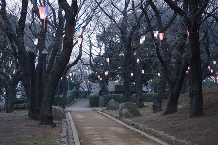 DSC00088