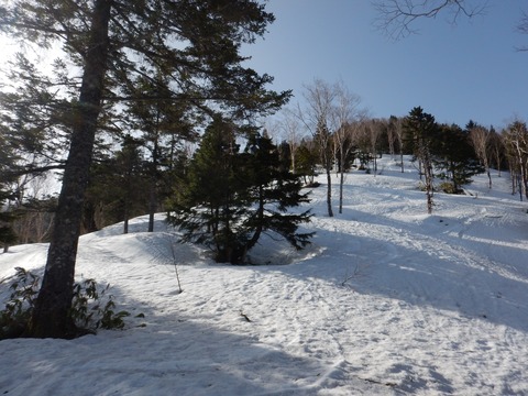DSCN3466