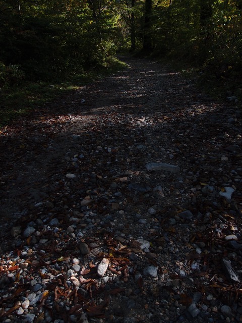 PA080582