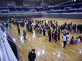 IMGP0386-thumbnail2