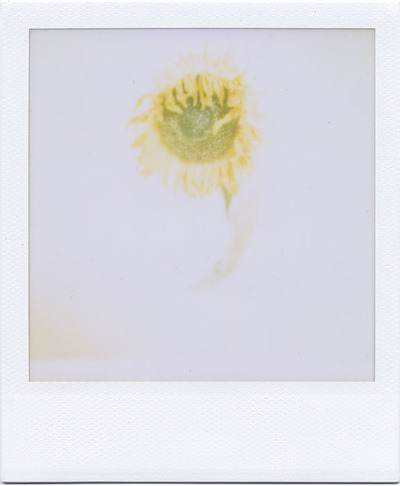 lastsummer