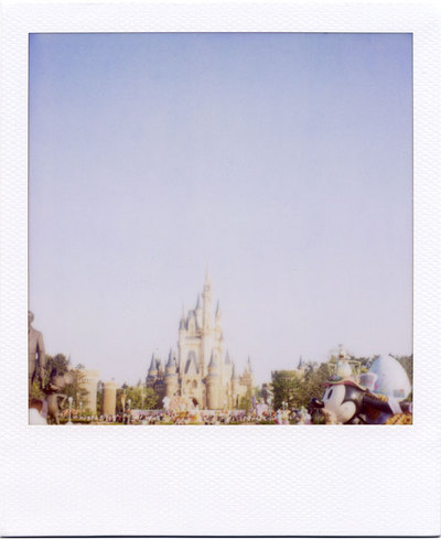 2010-5-TDL