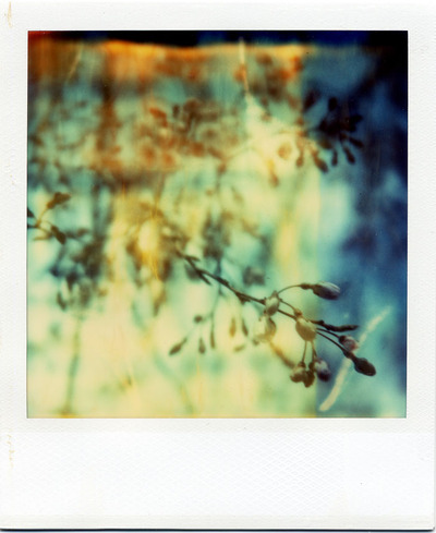 2017-3-桜70