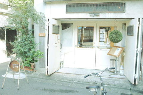 木と根
