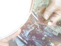 DSCN7701