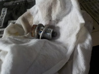 DSCN5407