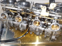 DSCN5482