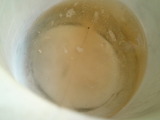 today20110922ws (5)