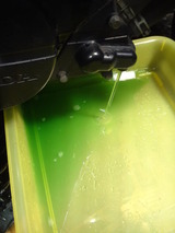 ns-1ws20120129 (43)