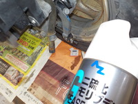 DSCN4241