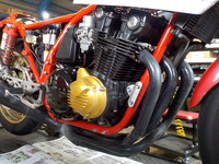 DSCN3552