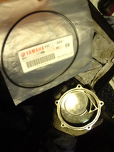 v-max20120208ws (13)