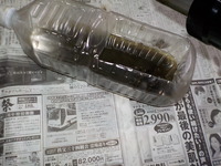 DSCN9069