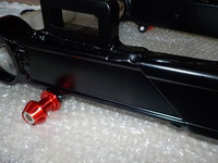 DSCN0666